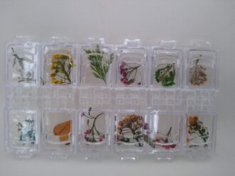 KIT COM FLORES SECAS DIVERSAS - DN147